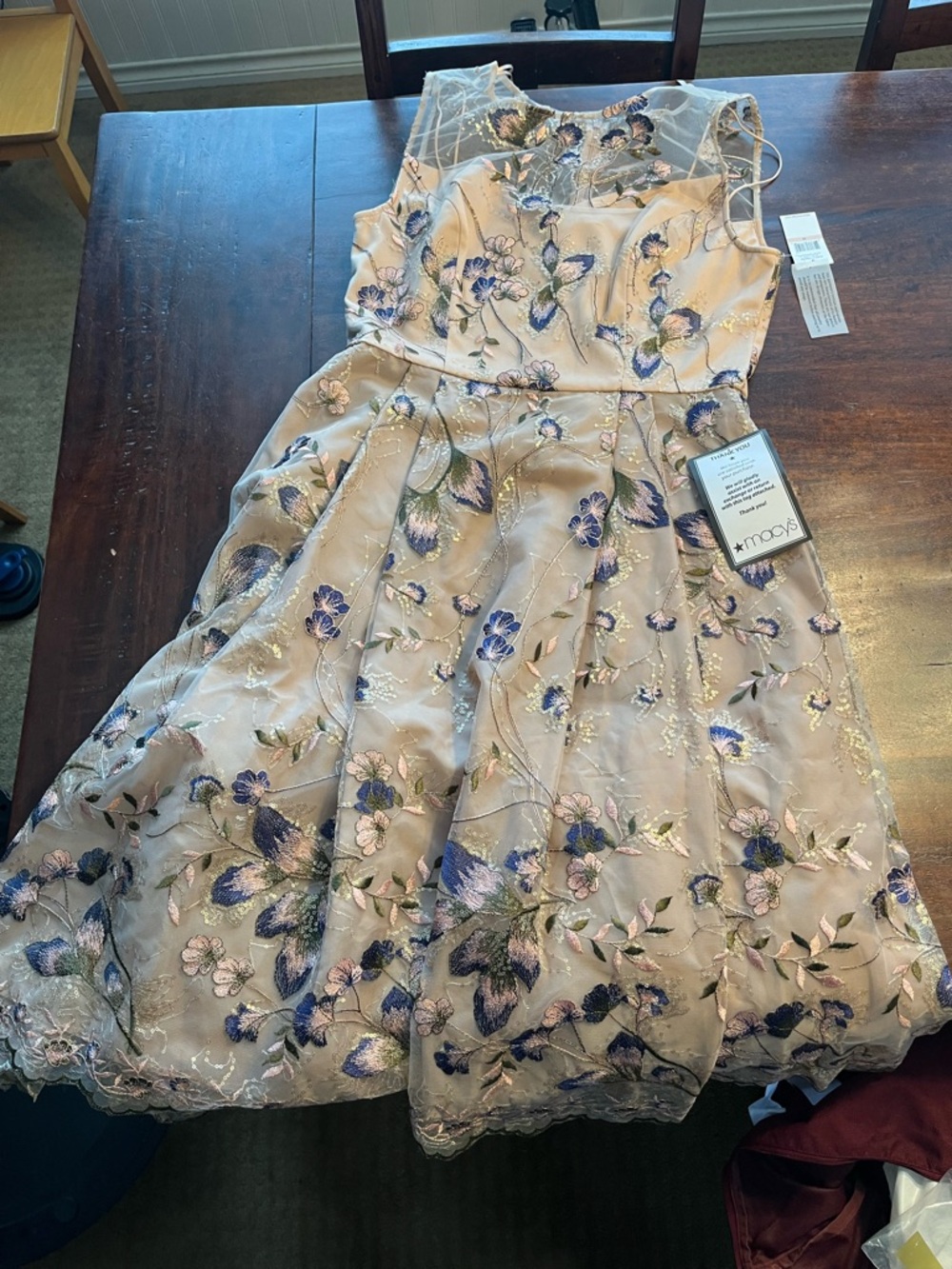 Alex Evenings Floral Lace Overlay Party Dress